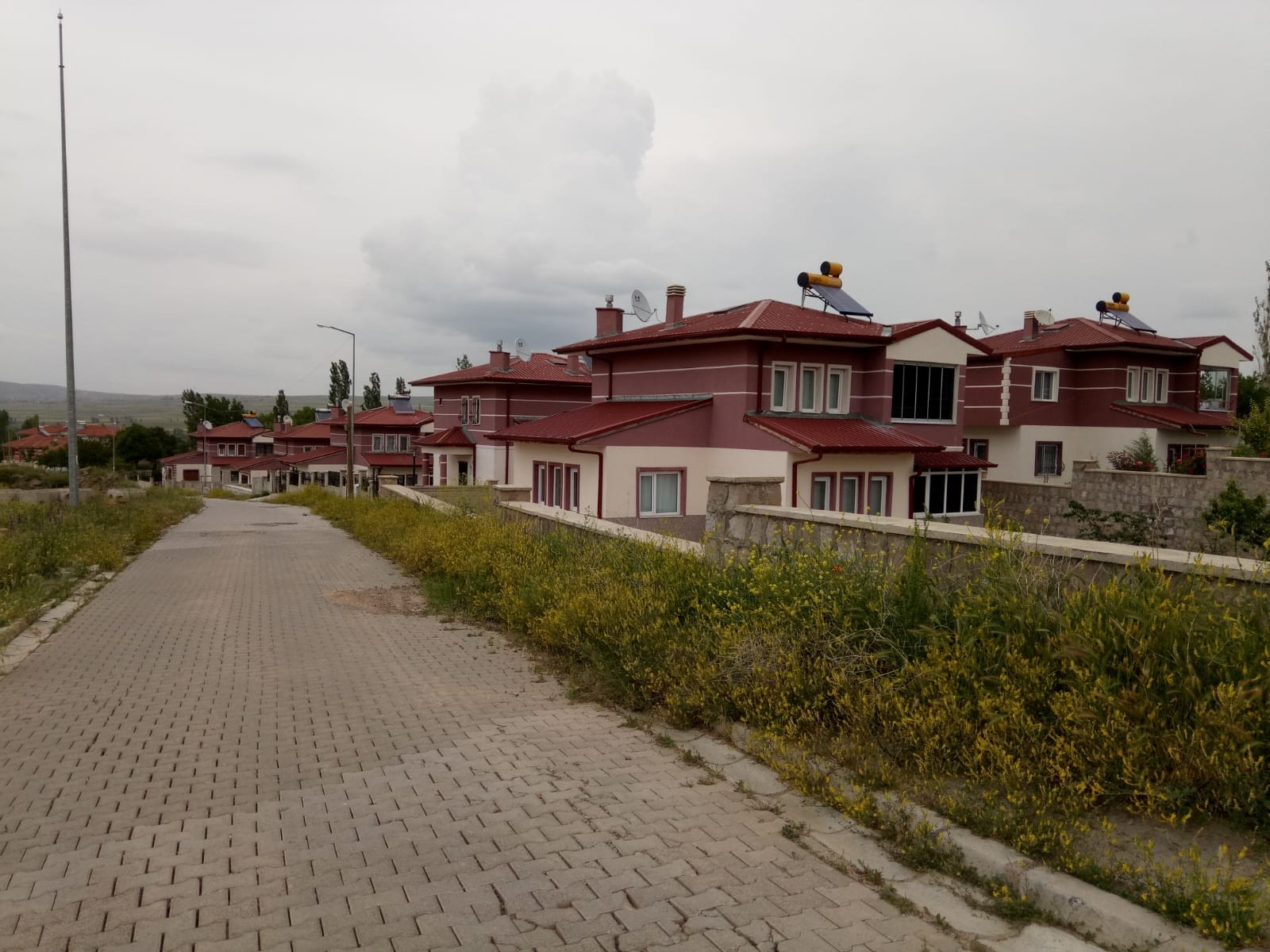 WhatsApp Image 2024-11-14 at 14.20.00