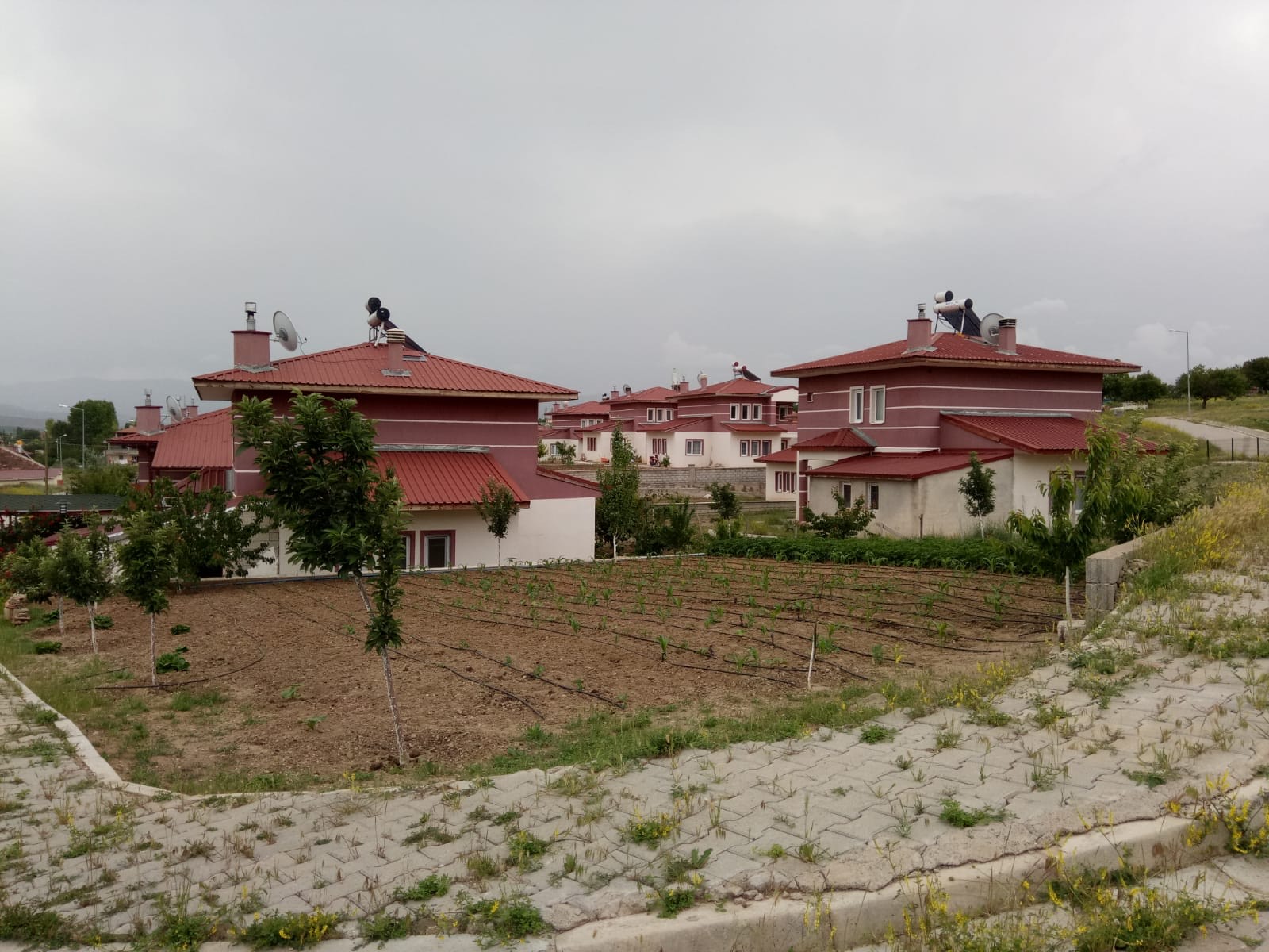 WhatsApp Image 2024-11-14 at 14.20.01